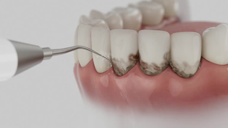 Reliable Dental contractor in Hamilton, MT by Dentist Open Now